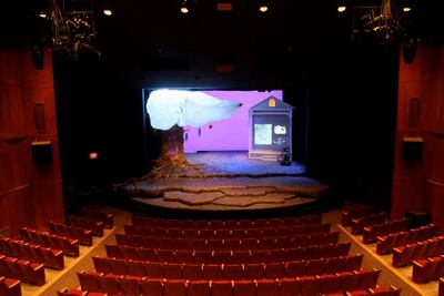 Theatre Teaching Assistant (Scenic Painting Focus + Platform Construction): "Hush: An Interview With America" by James Still. Directed by: Charles M. Pepiton. St. Lawrence University Gulick Theater, Spring 2013.